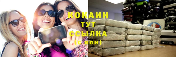амф Касимов