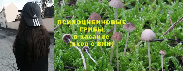 амф Касимов